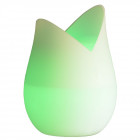 Brumisateur maison lili