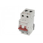 Interrupteur Sectionneur Modulaire 2 pôles NO à fermeture 63 A / 415 V 2 Modules