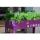 Potager surélevé en métal - Couleur au choix