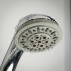 Tiger Pomme de douche à main éclaboussures Verona Chrome 540740344