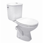 Cuvette wc roca polo sortie verticale - blanche (sans abattant et réservoir)