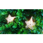Guirlande lumineuse 10 étoiles dorées