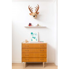 Poster phosphorescent grizzly 30 x 40 cm