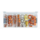 Boite WAGO L-Boxx micro avec bornes séries 2273 & 221 - 887-802