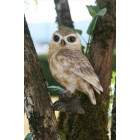 Chouette sur sa branche en résine