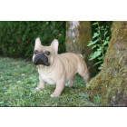 Bouledogue français en résine 16 cm