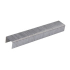 5000 agrafes type 53 - 11,3 x 8 x 0,7 mm