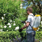 Hozelock Pulvérisateur à pression sac dos Plus 12 L