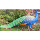 Paon à couronne en résine taille réelle