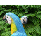Couple de perroquets en résine