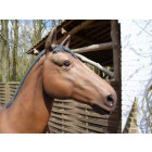 Cheval brun en résine 225 cm