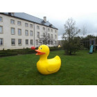 Canard géant en résine 165 cm
