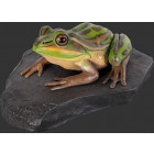 Grenouille en résine 34 cm