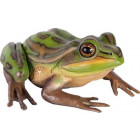 Grenouille en résine 34 cm