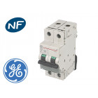 Disjoncteur Modulaire 2 Pôles 40A Courbe C 6 KA