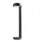 Balise de jardin gris foncé grow