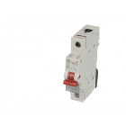 Interrupteur sectionneur modulaire 1 pôle 63a