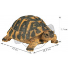 Tortue hermann en résine