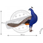 Paon tête tournée en résine taille réelle