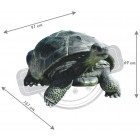 Tortue du galapagos en résine 151 cm