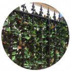 Haie de laurier rose clipsable sur mesure