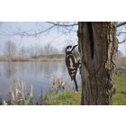 Oiseau sur pique pic epeiche en acier corten
