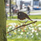 Oiseau à planter rouge gorge en acier corten