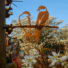 Oiseaux sur pique couple d'hirondelles en acier corten