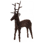 Cerf sur pied moyen modèle