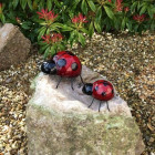 Coccinelle décorative en métal grand modèle