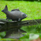 Fontaine de jardin à cracheur poisson