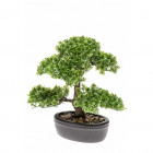 Mini bonsaï ficus artificiel vert 32 cm 420002