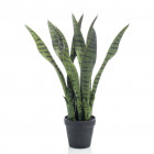 Plante artificielle sansevieria 55 cm en pot