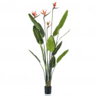 Plante artificielle strelitzia avec 4 fleurs en pot 150 cm
