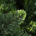 Sapin de Noël artificiel avec pommes de pin Vert 210 cm