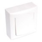 Bouton poussoir en saillie