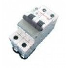 Disjoncteur Modulaire 2 Pôles 16A Courbe D 6 KA