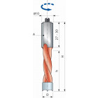 Mèche pour perçages multiples à trous non débouchants FREUD - Ø5 H27/57,5 Q10x27 Z2 - F03FA02135 -PF06MS AA3