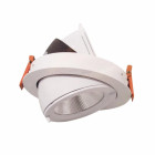 Downlight spot led cob 40w 160 rond orientable - couleur eclairage au choix