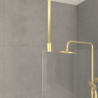 Paroi de douche 140x200cm verre 8mm - profilé + barre plafond finition or brossé - freedom 2 gold Aurlane - PACF435