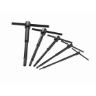 Jeu de 5 clés males asymétriques SAM - 62CTJ5