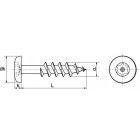 Vis à bois cylindrique 6 lobes inviolable acton inox a2 pour penture - 6x30 mm - boite de 100 - 628136x30