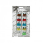 Assortiment De 10 Fusibles Automobiles De 7.5 A 30A
