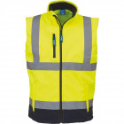 Jaune-Marine