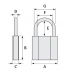 Cadenas ZENITH ISEO FRANCE (CAVERS) 02092001