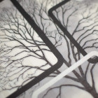 Papier peint intissé vinyle - Effet 3D - Modèle cadre arbre gris