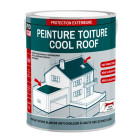 Cool roof - peinture toiture anti chaleur, peinture blanche réfléchissante procom blanc - Conditionnement au choix