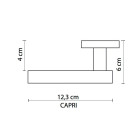 Lot de 2 poignées sur rosace à clé en zamak satiné capri