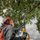 Élagueuse sur perche xr 18v 5ah li-ion brushless dewalt