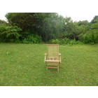 Lot de 2 fauteuils pliants jenaë teck premium